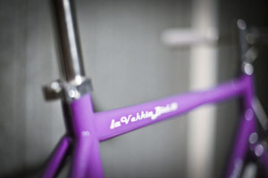 viola04